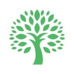 Aambience Services